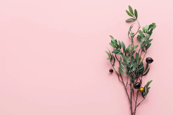 View from above of branch with green leaves and decorated berries on pink — Stock Photo