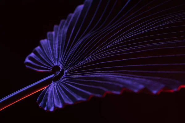 Immagine tonica di bella foglia tropicale con illuminazione viola isolata su nero — Foto stock