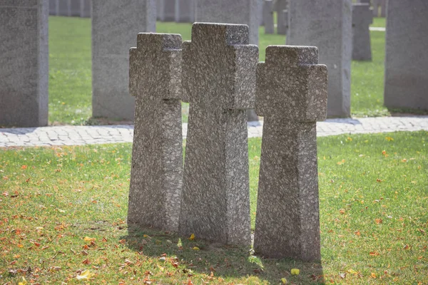 Selective focus of identical old memorial headstones placed in row at cemetery — Stock Photo