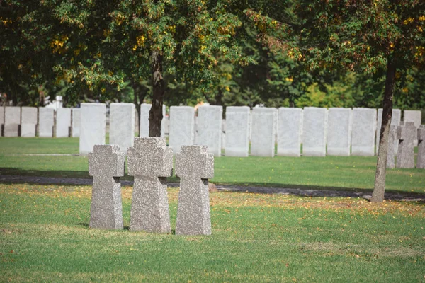 Cruces de piedra conmemorativas idénticas colocadas en fila en el cementerio - foto de stock
