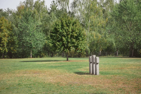 Messa a fuoco selettiva di croci di pietra commemorativa poste in fila e alberi al cimitero — Foto stock