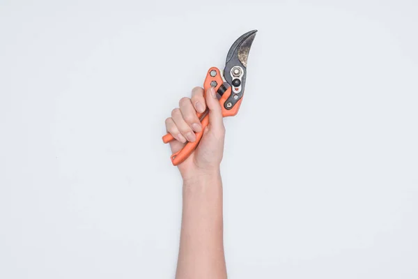 Cropped shot of woman holding cutting pliers isolated on white — Stock Photo