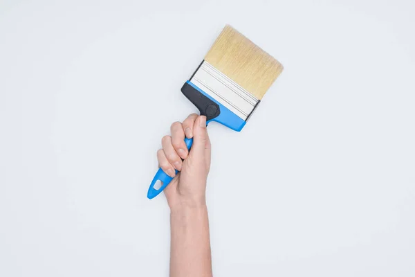 Tiro recortado de mujer sosteniendo herramienta de pincel de pintura aislado en blanco — Stock Photo