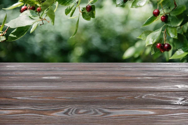 Modèle de plancher en bois brun avec cerisier sur fond vert flou — Photo de stock