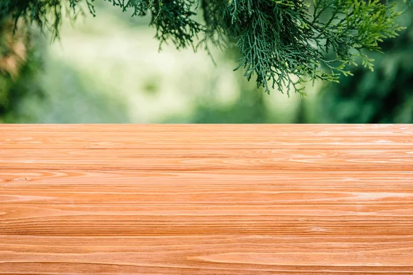 Template of orange wooden floor on blurred green background with pine leaves — Stock Photo