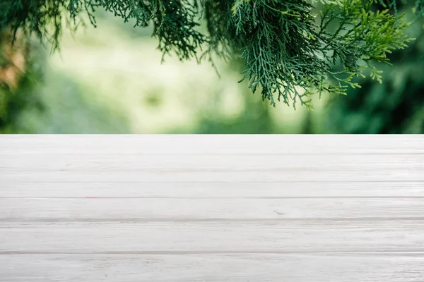 Template of white wooden floor on green blurred background with pine tree leaves — Stock Photo