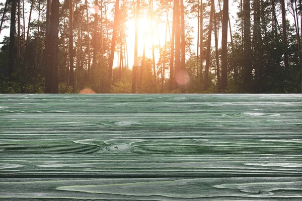 Plantilla de suelo de madera verde oscuro con bosque de pinos en el fondo - foto de stock