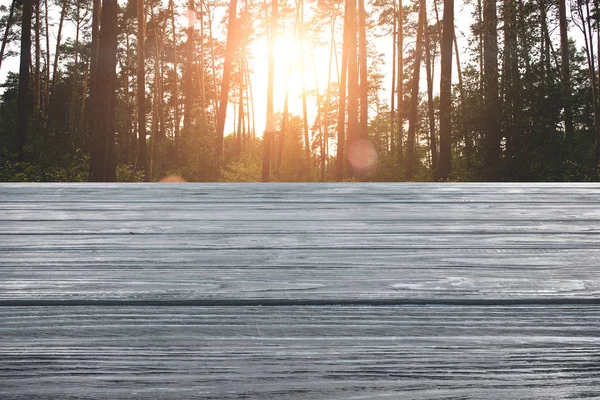 Template of grey wooden floor with pine forest on background — Stock Photo