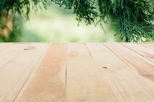Шаблон бежевого деревянного пола из досок на размытом зеленом фоне с листьями сосны — стоковое фото