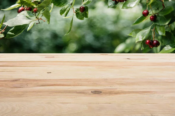 Template of beige wooden floor with cherry tree on background — Stock Photo