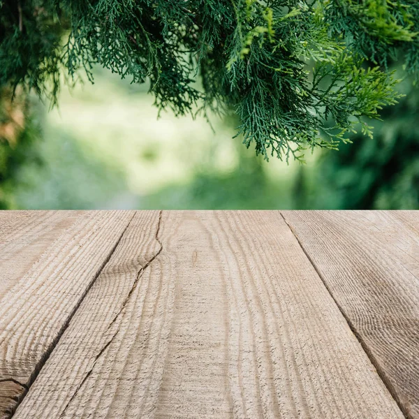 Surface of beige wooden planks with cropped pine tree leaves on background — Stock Photo