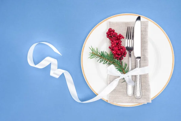 View from above of plate with fork, knife, evergreen branch and red berries on plate isolated on green — Stock Photo