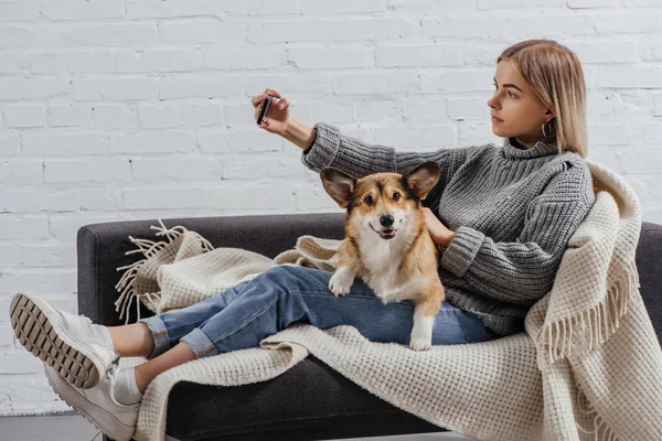 Belle fille prenant selfie avec chien corgi sur canapé — Photo de stock