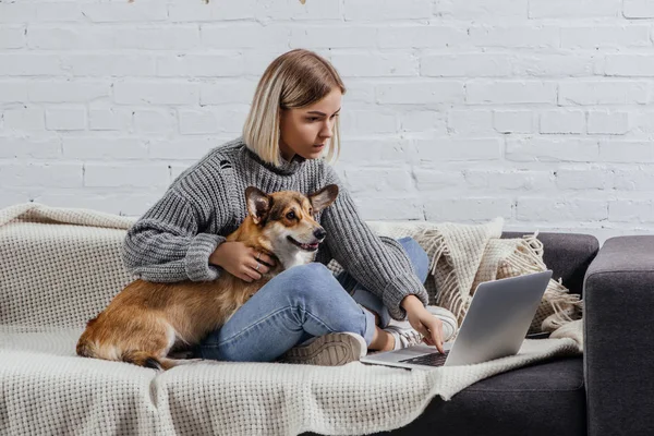 Mujer joven sentada con lindo perro pembroke corgi galés en el sofá y el uso de ordenador portátil - foto de stock