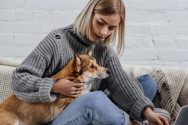 Красива молода жінка сидить на дивані і тримає пемброке валлійського собаку Коргі — стокове фото