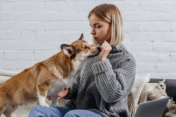 Atraente jovem segurando cão tratar na mão para bonito pembroke galês corgi cão — Fotografia de Stock