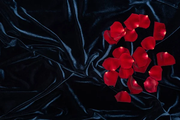 Блестящая черная велюровая ткань с грудой красных лепестков роз и копировальным пространством — стоковое фото
