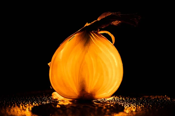 Fatia de cebola crua com gotas de água e luz traseira laranja no fundo preto — Fotografia de Stock