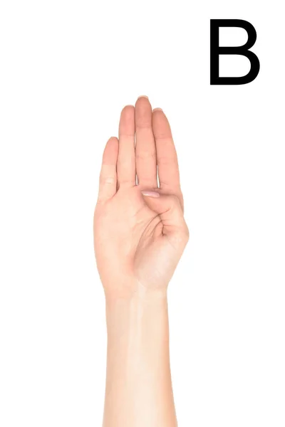 Vue recadrée de la main féminine montrant la lettre latine - B, langue des signes, isolée sur blanc — Photo de stock