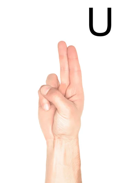 Vista recortada de la mano masculina que muestra la letra latina - U, lenguaje sordo y mudo, aislado en blanco - foto de stock