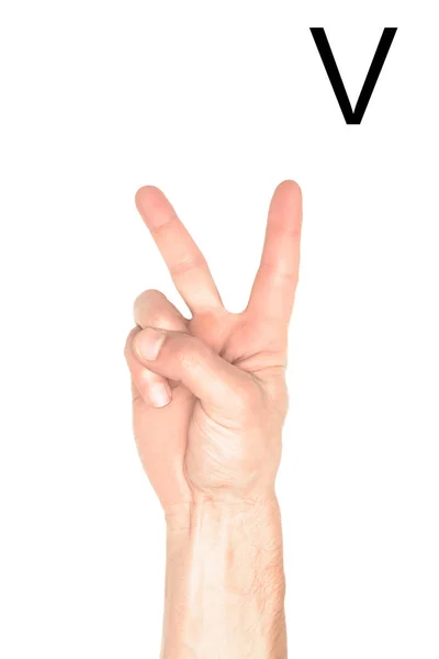 Vista parcial de la mano masculina que muestra la letra latina - V, lenguaje sordo y mudo, aislado en blanco - foto de stock