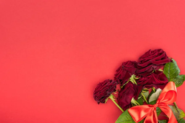 Vue d'en haut du bouquet de roses rouges enveloppé par un ruban festif isolé sur le rouge, concept St Valentin — Photo de stock