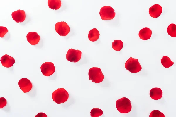 Draufsicht auf rote Rosenblätter isoliert auf weiß — Stockfoto