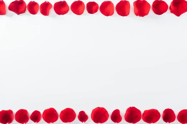 Top view of floral frame made with red rose petals isolated on white — Stock Photo