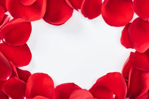 Top view of round floral frame made with red rose petals isolated on white with copy space — Stock Photo