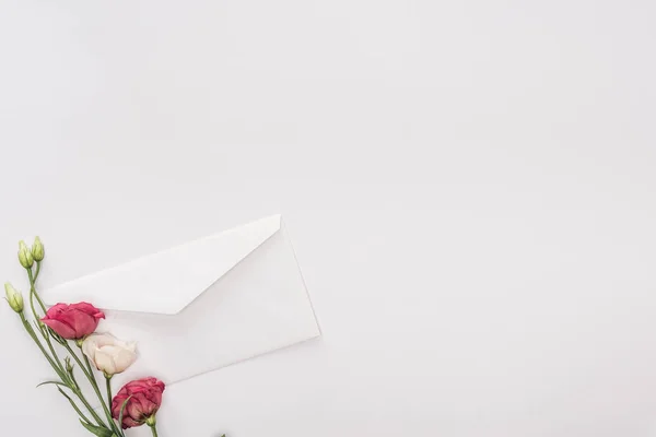 Draufsicht auf Briefumschlag und Blumen isoliert auf weiß mit Kopierraum — Stockfoto