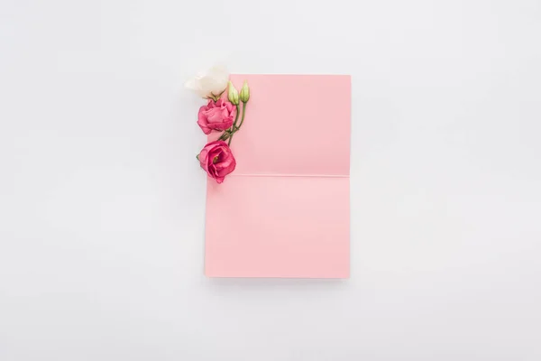 Top view of blank pink card and flowers isolated on white — Stock Photo