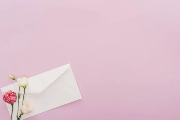Top view of flowers and envelope isolated on pink with copy space — Stock Photo