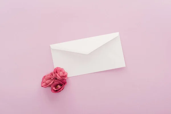 Top view of flowers and envelope isolated on pink — Stock Photo