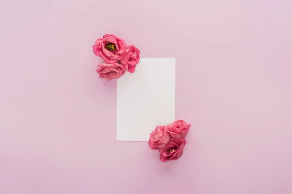 Vue du haut des fleurs et carte blanche isolée sur rose — Photo de stock