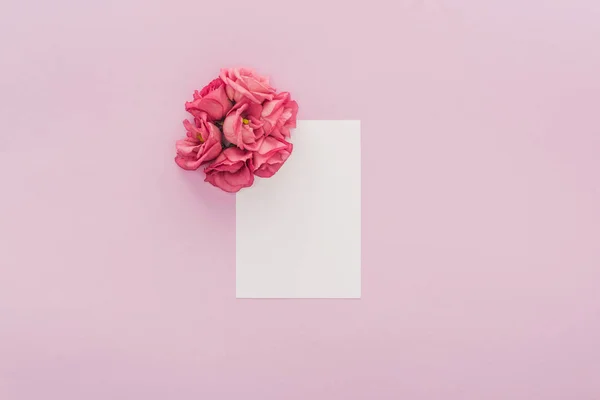 Vista superior de flores y tarjeta en blanco aislada en rosa - foto de stock