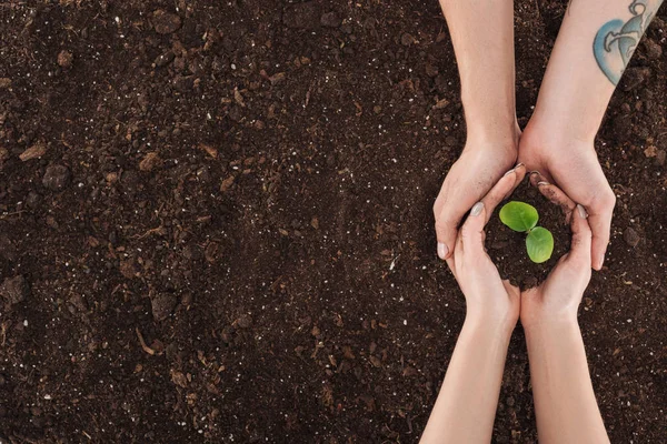 Cropped view of couple holding ground with green plant in hands, protecting nature concept — Stock Photo