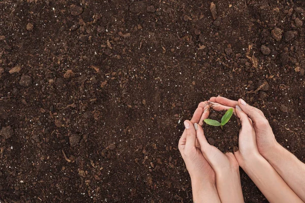 Cropped view of couple holding ground with small plant in hands, protecting nature concept — Stock Photo