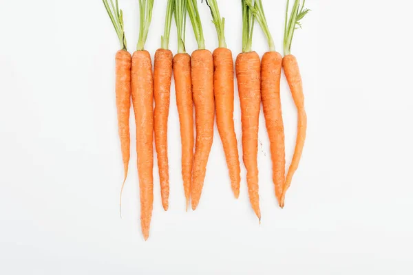 Ganz frische, reife rohe Karotten in enger Reihe angeordnet, isoliert auf weiß — Stockfoto