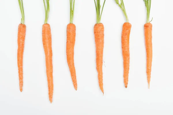 Vista dall'alto di carote fresche mature crude disposte in fila isolate su bianco — Foto stock