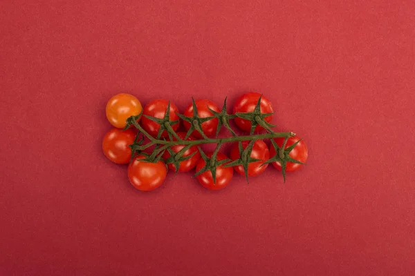 Top view of ripe red cherry tomatoes branch on red background — Stock Photo