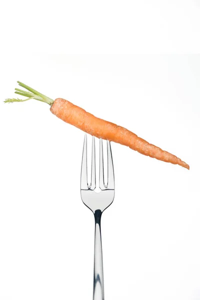 Whole ripe fresh carrot on fork isolated on whiteisolated on white — Stock Photo