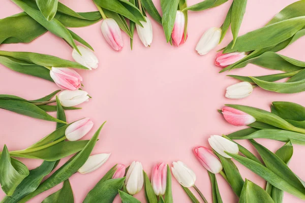 Vista superior de tulipas primavera em círculo quadro isolado em rosa — Fotografia de Stock