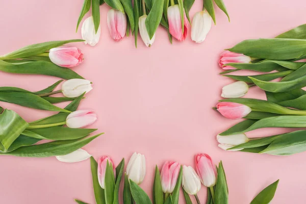Frame of pink spring tulips isolated on pink — Stock Photo