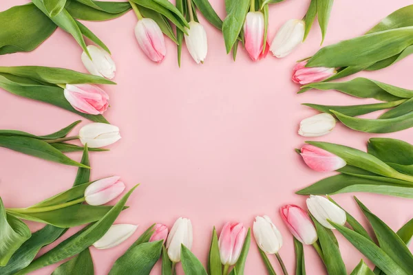 Vue de dessus du cadre de printemps avec des fleurs de tulipes isolées sur rose — Photo de stock