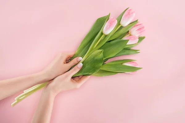 Vista recortada de la mujer que sostiene tulipanes de primavera aislados en rosa - foto de stock