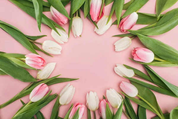 Top view of circle frame with pink and white spring tulips isolated on pink — Stock Photo