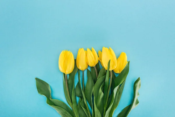 Вид на букет с желтыми весенними тюльпанами, изолированными на синий цвет на международный женский день — стоковое фото