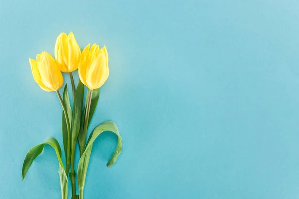 Vue de dessus du bouquet avec des tulipes jaunes à ressort isolées sur fond bleu — Photo de stock