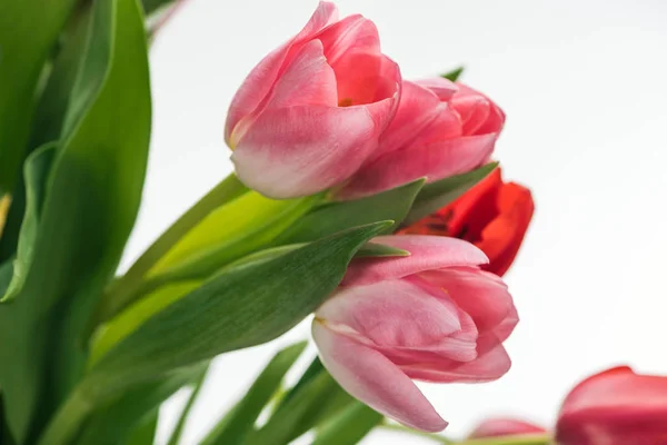 Bouquet with pink and red tulips isolated on white — Stock Photo