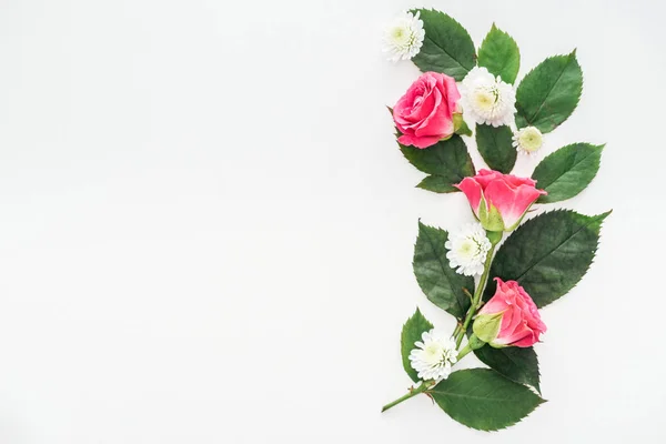 Vue de dessus de la composition des fleurs isolées sur blanc — Photo de stock